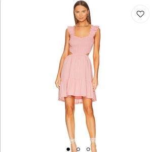 Oxford Dress in Petal